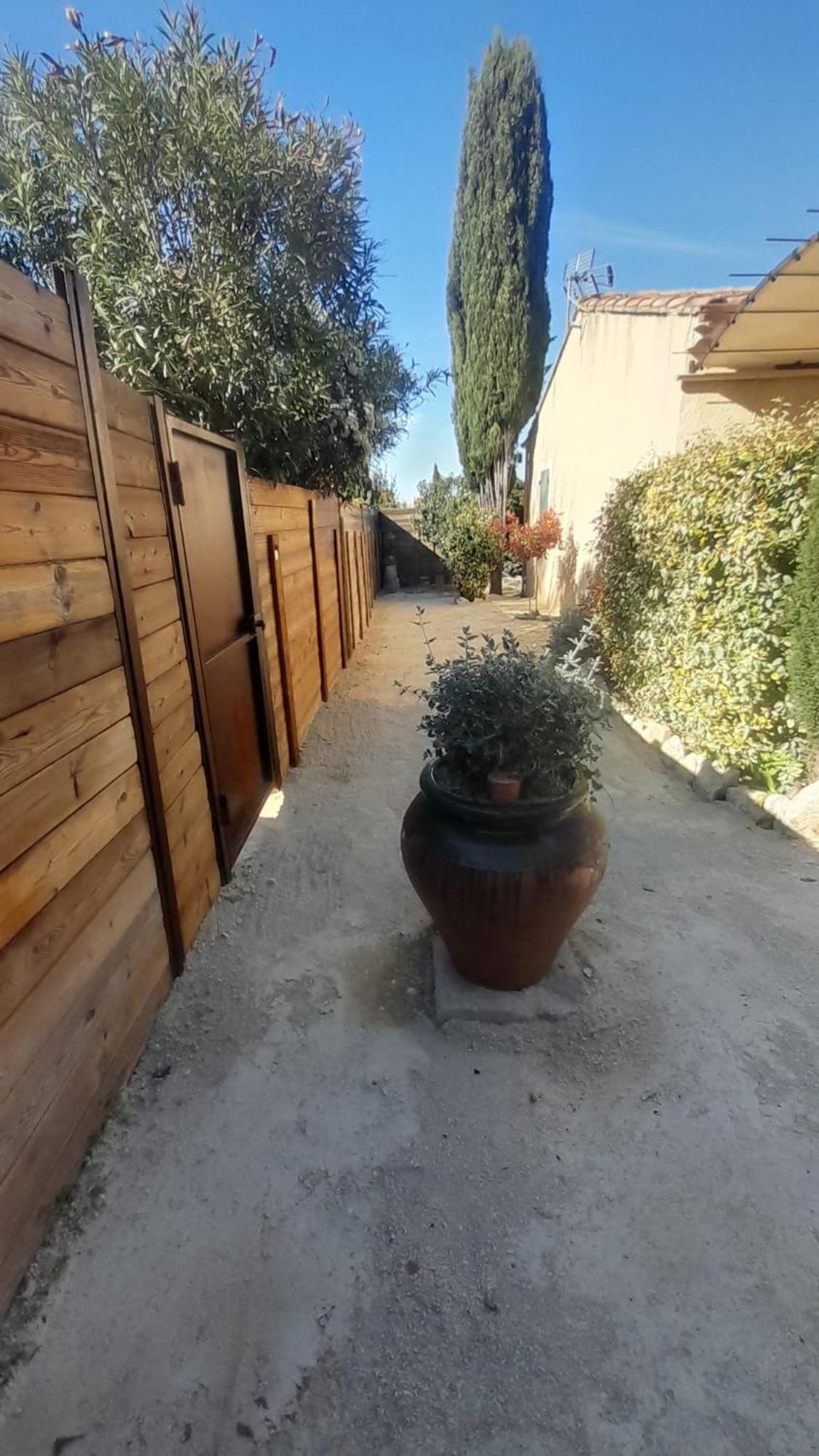 Le Mazet De Louise Appartement Saint-Rémy-de-Provence Buitenkant foto
